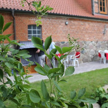 Mansion In Gressow With Terrace Garden Bbq Pond Bicycles Villa Kültér fotó